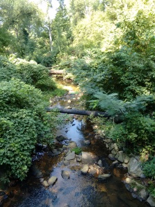 a stream!